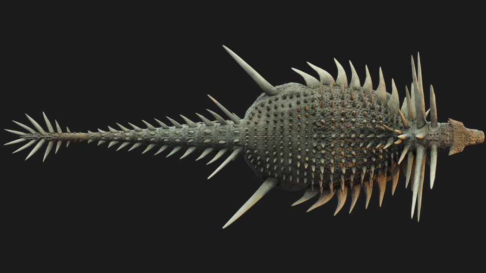 a dorsal view of a very spiky ankylosaur